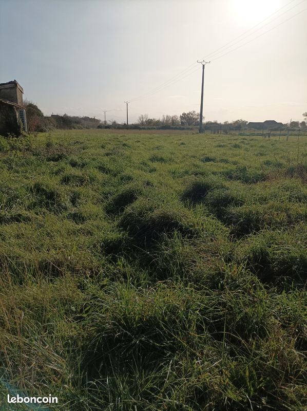 Terrain à vendre sur la commune de sarriac de Bigorre (image 2)