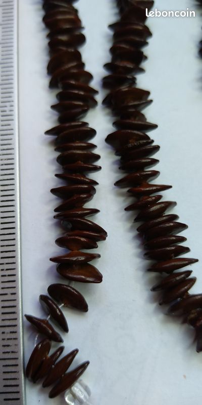 Fil de perles graine (image 5)