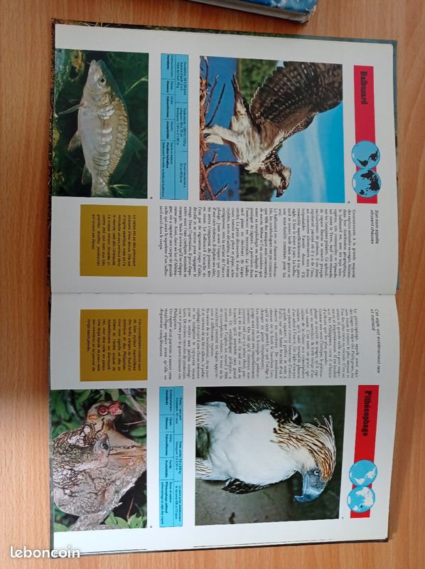 Ouvrage Illustré les rapaces et leurs proies (image 2)