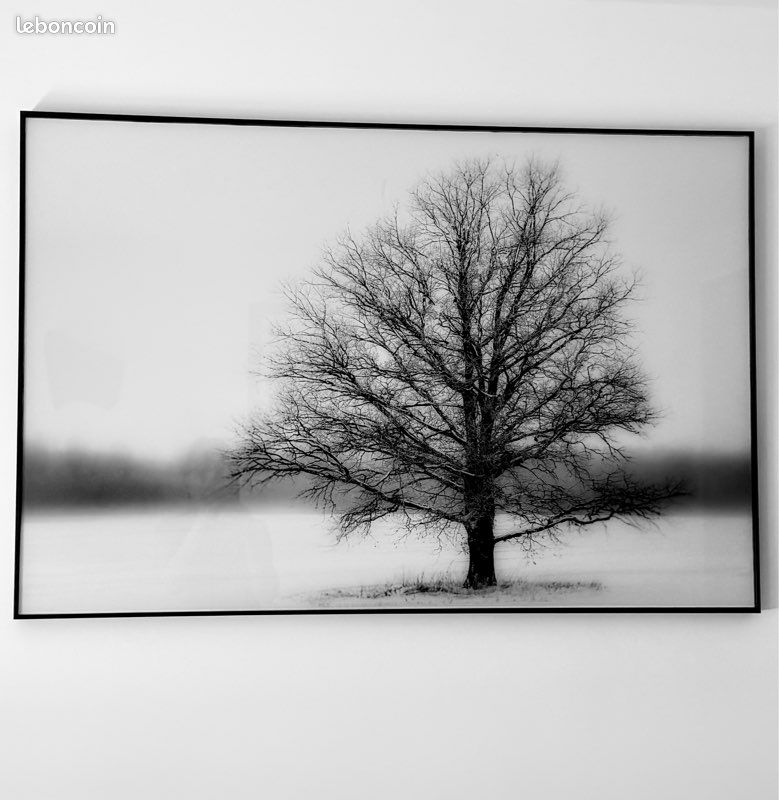 Superbe cadre en verre noir et blanc (image 1)