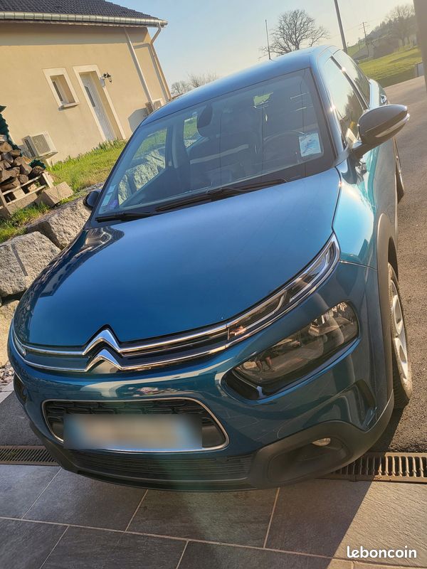 C4 cactus feel 130CV (image 1)
