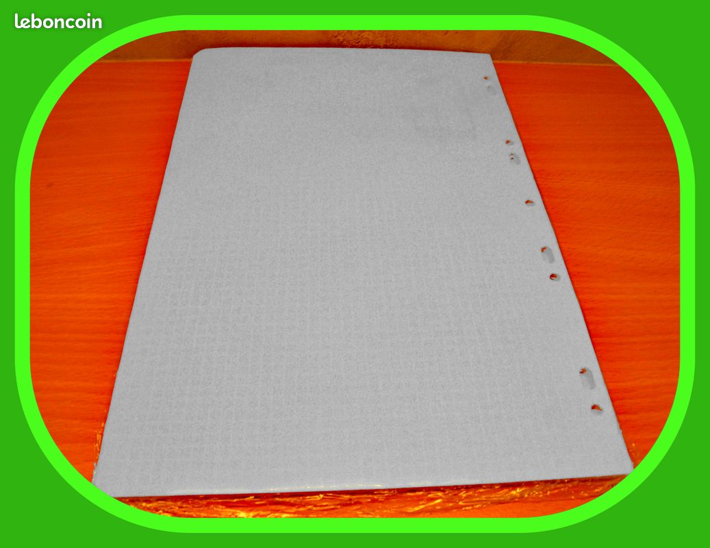 PAQUET DE 100 FEUILLES MOBILES PERFORÉS (neufs) 📁 (image 3)