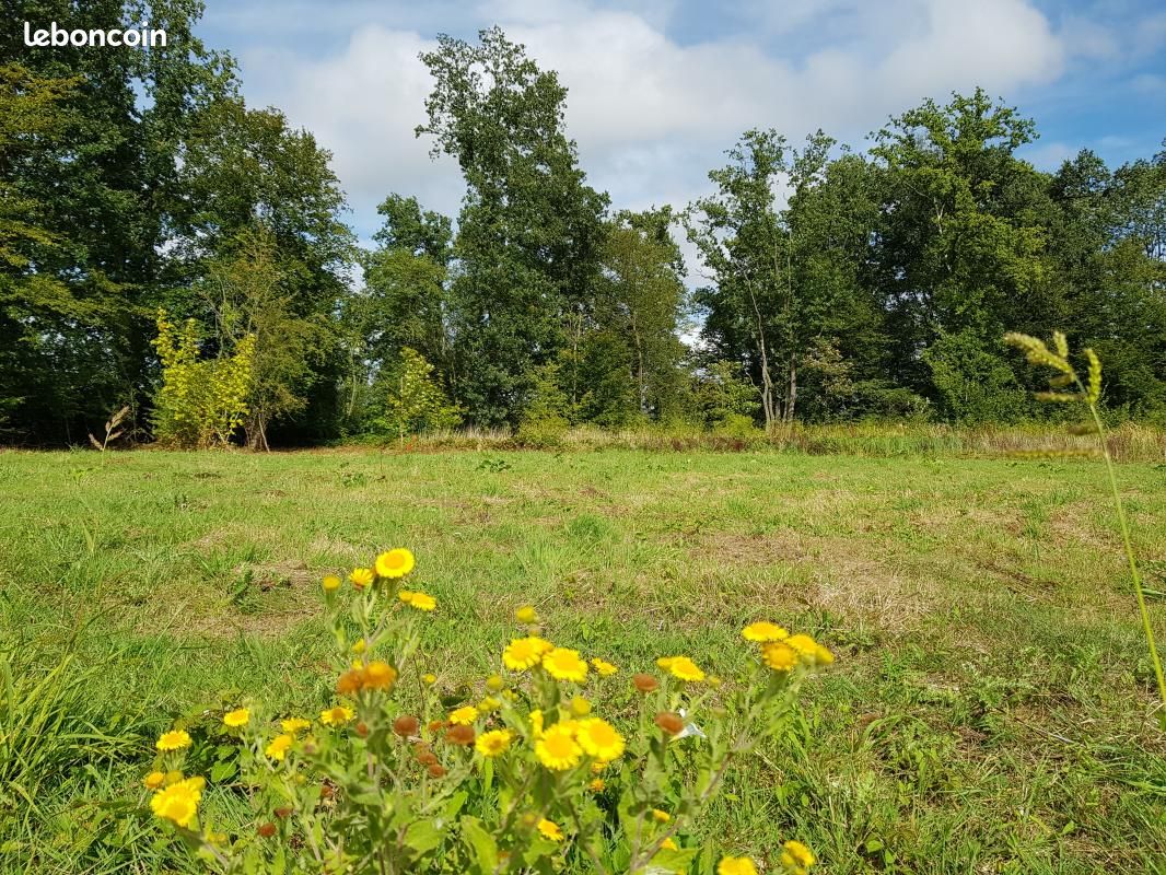 Terrain 568 m² · à Mons-en-Pévèle · 125 800 €