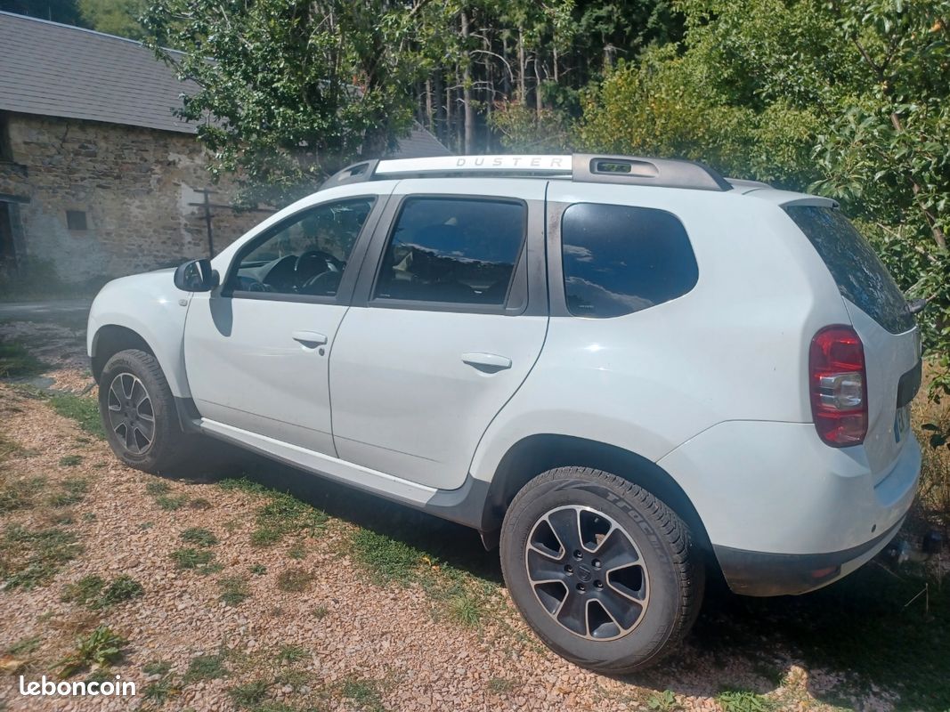 Duster (image 2)