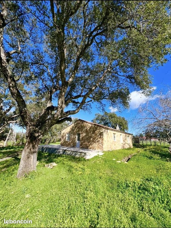 Maison 4 pièces 82 m² · à Aléria · 82 m² · 365 000 €
