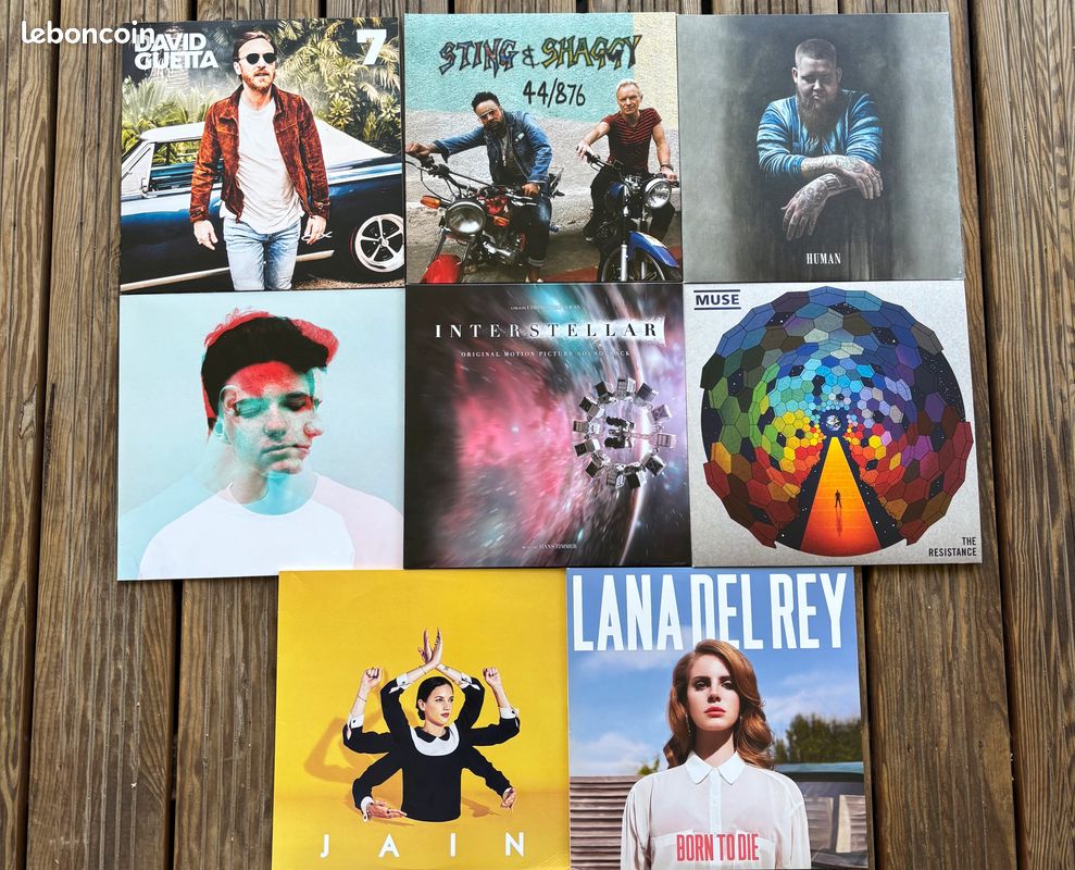 Lot de Vinyles (image 1)