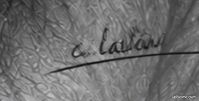 Tableau signée c.laitiv lion hyperrealisme (image 3)
