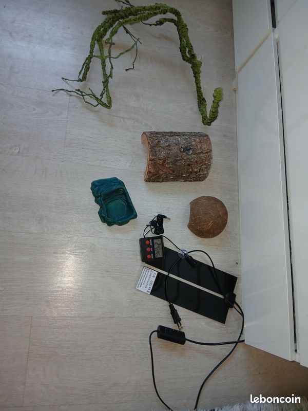 Terrarium 70x25H30 (image 3)