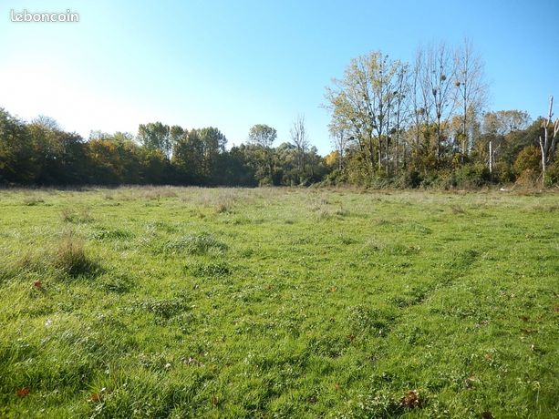 Terrain Tauxigny