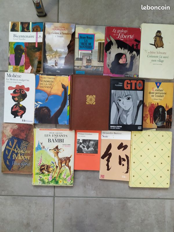 Livre de poche (image 1)
