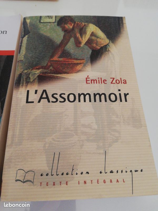Lot de romans de Zola. L'assommoir /La Fortune des Rougon (image 3)