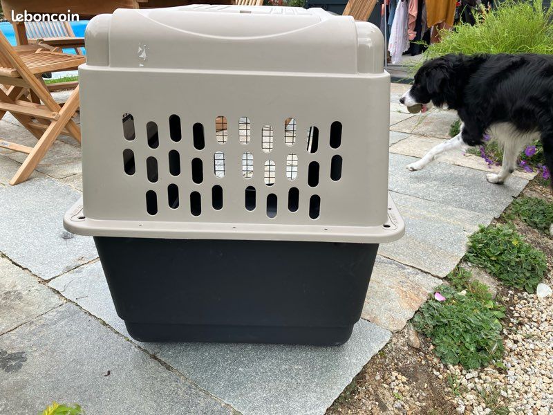 Caisse transport chien (image 4)