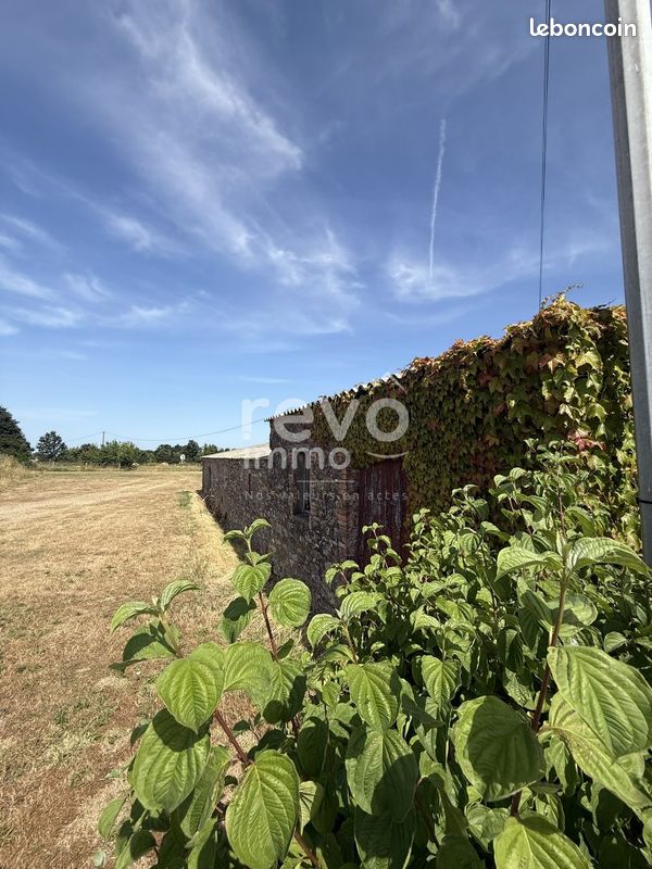 Maison 3 pièces 296 m² · à Vieillevigne · 296 m² · 127 000 €