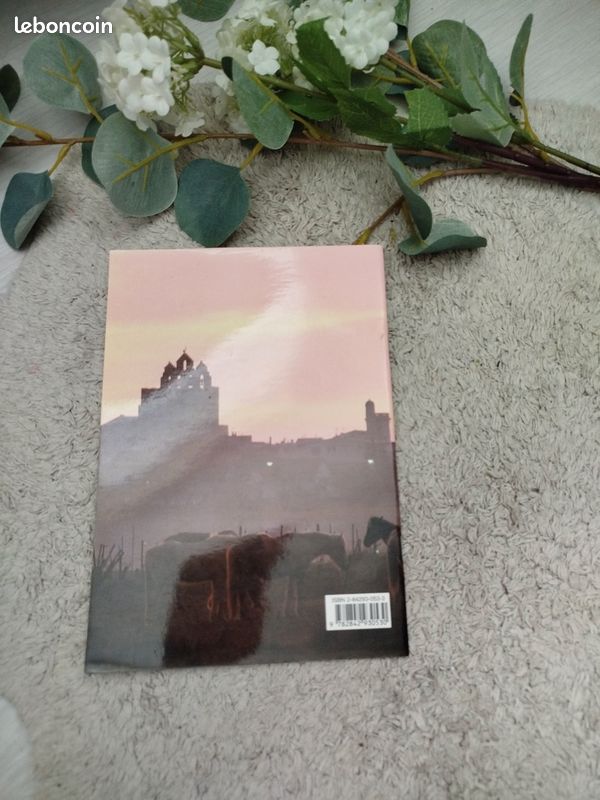 Livre les saintes maries de la mer (image 3)