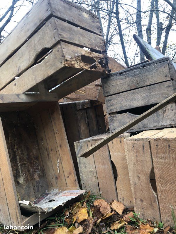 Caisses en bois décoration/ création (image 3)