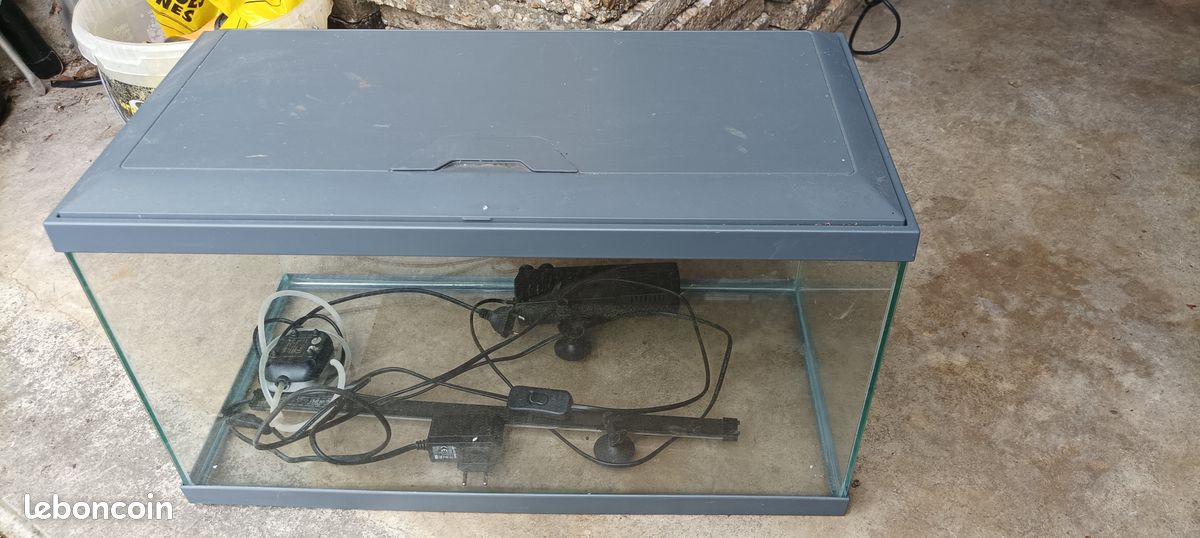 Aquarium (image 1)