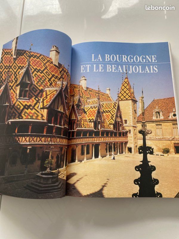 Livre Tout savoir sur le vin 10 excellent état (image 2)