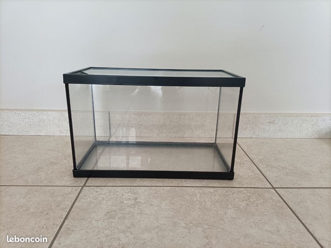 Aquarium (image 1)