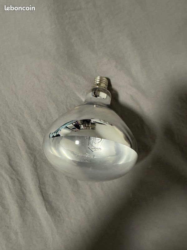 Ampoule Uv basse consommation (image 1)