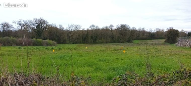 Vente | Terrain constructible | 264 m² | Pizay
