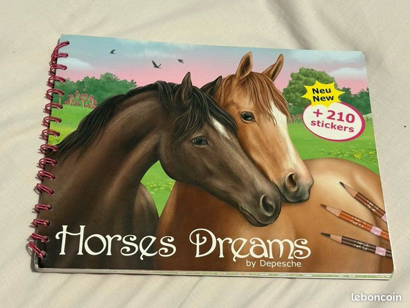 Livre de coloriage sur les chevaux (image 1)