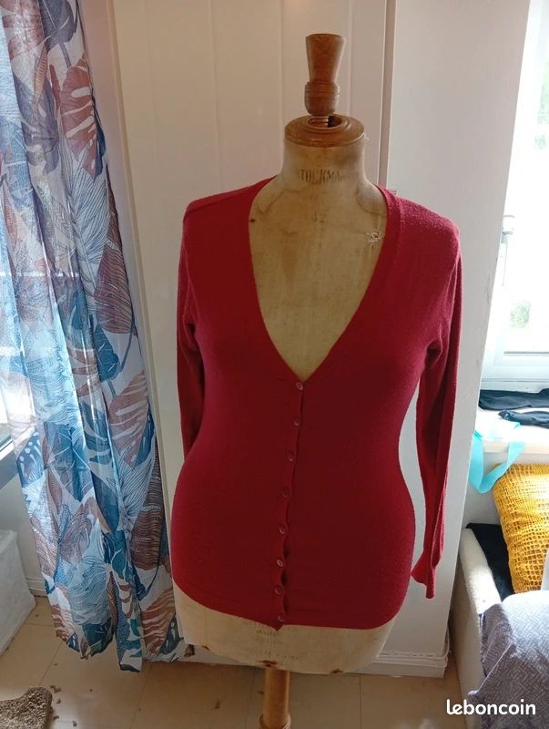 Petit Gilet rouge (image 1)