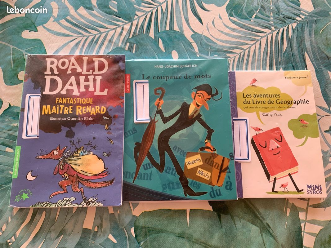 Livres de poche pour primaire (image 1)