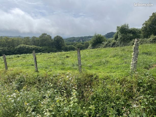 Terrain 15636 m² Razès