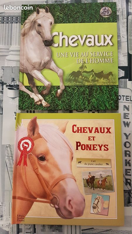 4 livres sur les chevaux: 1 malette remplie de fiches et 3 beaux livres, TBE (image 1)