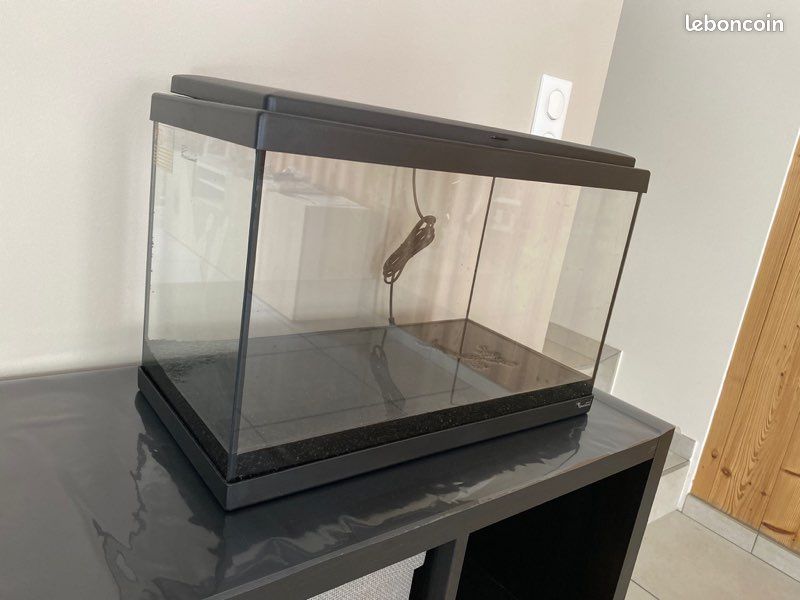 Aquarium (image 2)