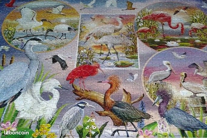 « Puzzle « Waterbird Magic » 1000 Pièces (image 4)