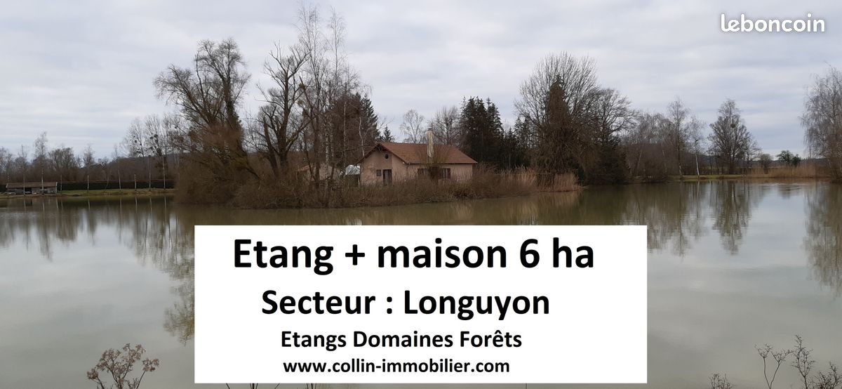 Terrain 55000 m² · à Longuyon · 55 000 m² · 420 000 €
