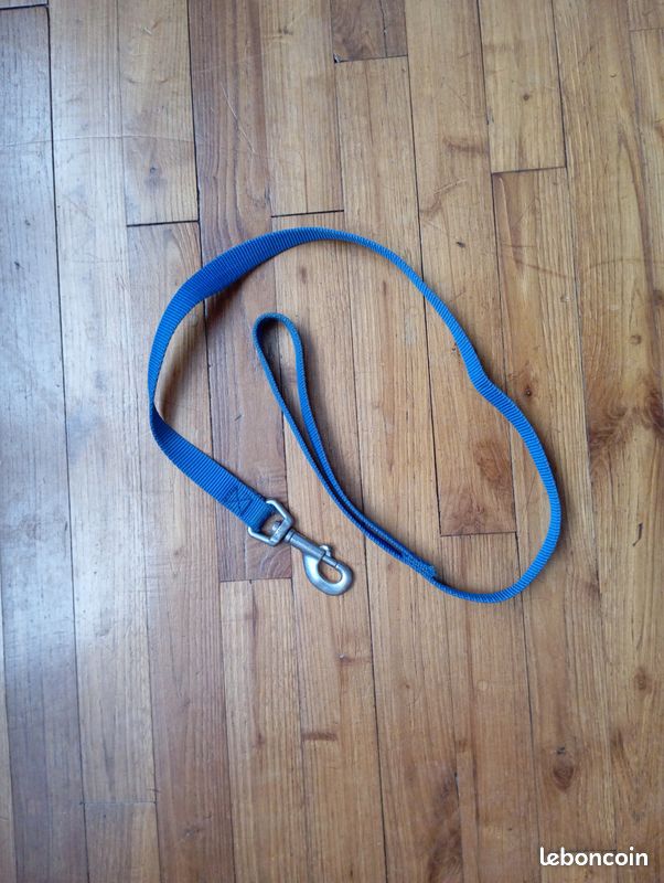 Laisse pour chien (image 1)