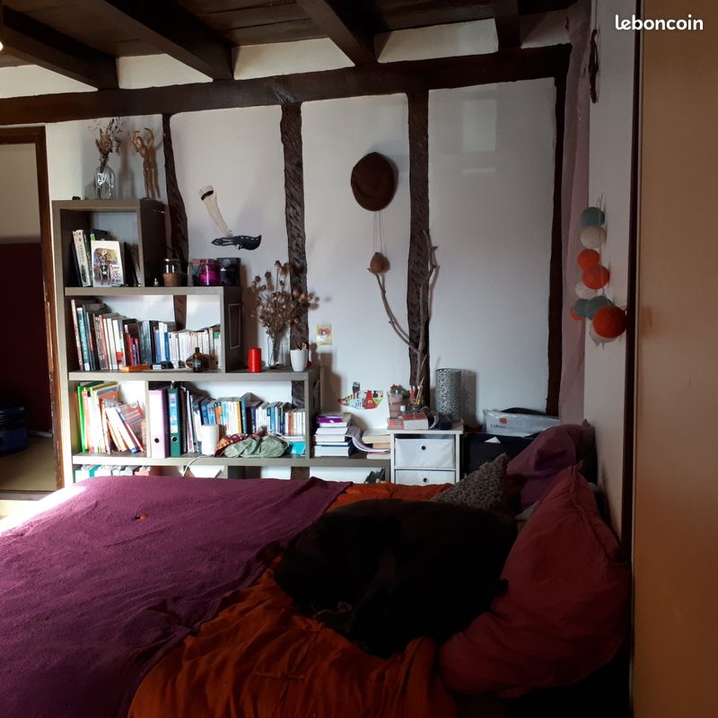 Chambres dispos dans coloc sympa (1 mi juin pour long terme et 1 en juillet - août) - Hélette 64640 (image principale 2)