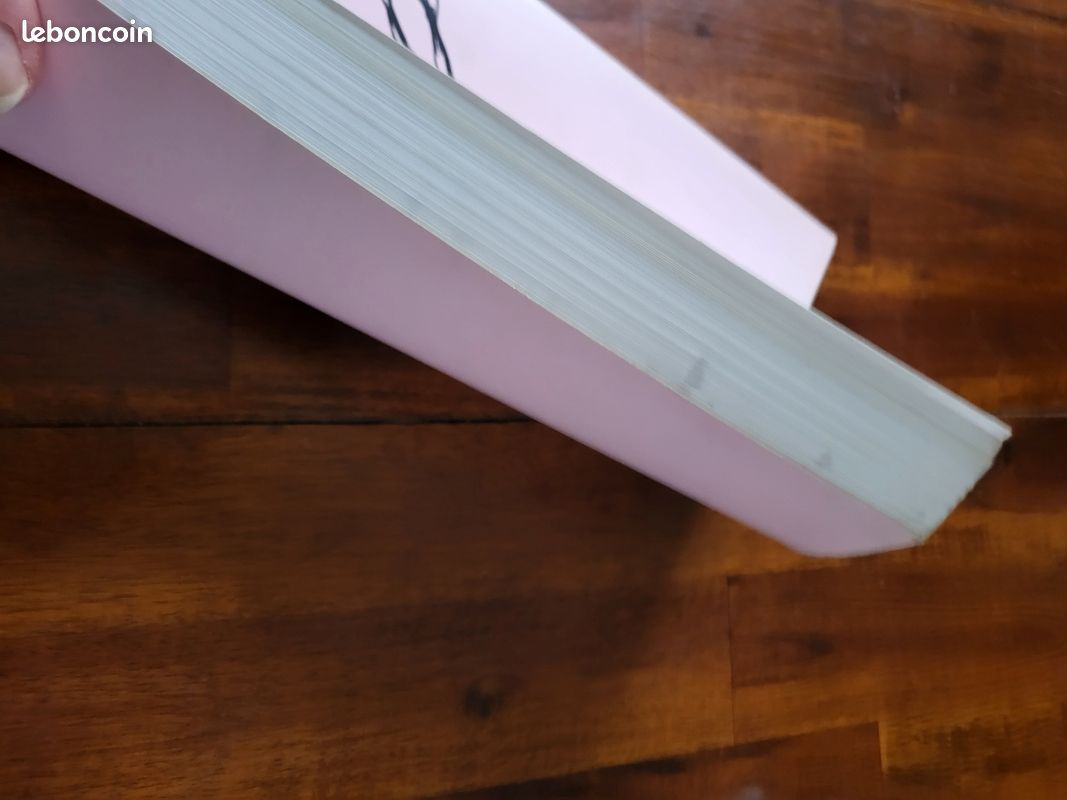 Le loi de la Pesanteur Bouquins Charlie (image 7)