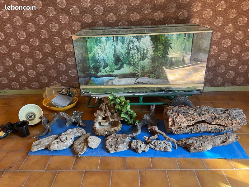 Vivarium (image 1)