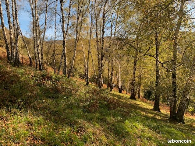 Vente terrain agricole · à Lourdes · 18 500 €