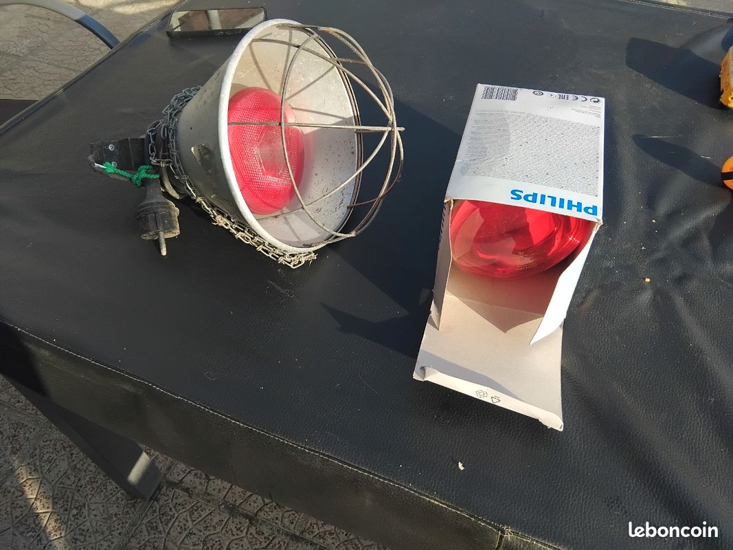 Lampe Chauffante Infrarouge 250 W Pour Poulailler - Avec Thermostat Et Suspension