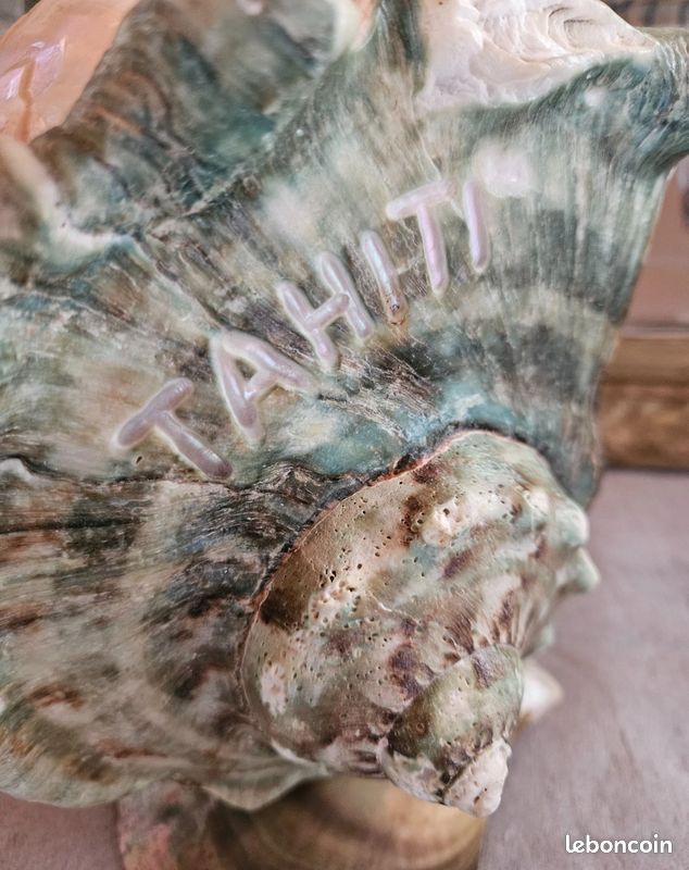 Haut Femme Neuf Avec étiquette - Col Coquillage Chatoyant Vert Foncé - Sans Manches - Taille 12
