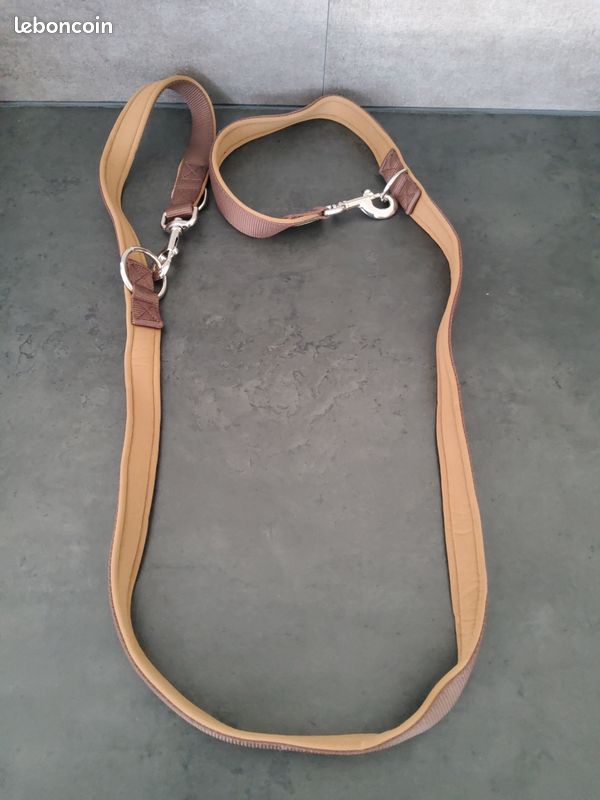 Laisse hunter marron (image 2)