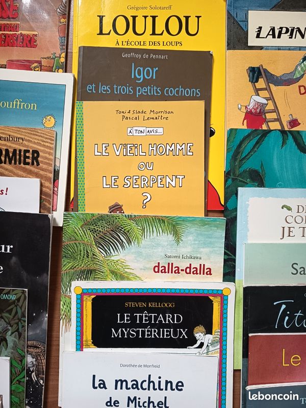Gros lot 30 livres de l'école des loisirs (image 4)