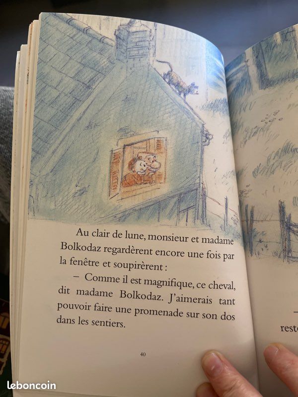 La vie trépidante des Bolkodaz (image 4)