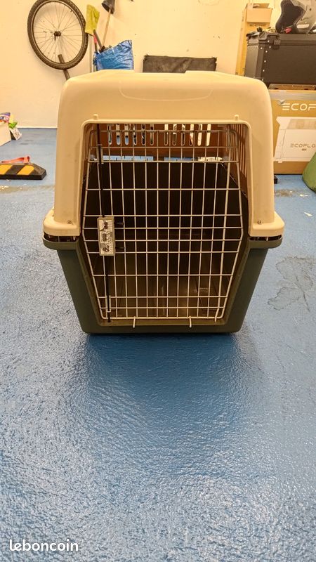 Kennel (image 1)