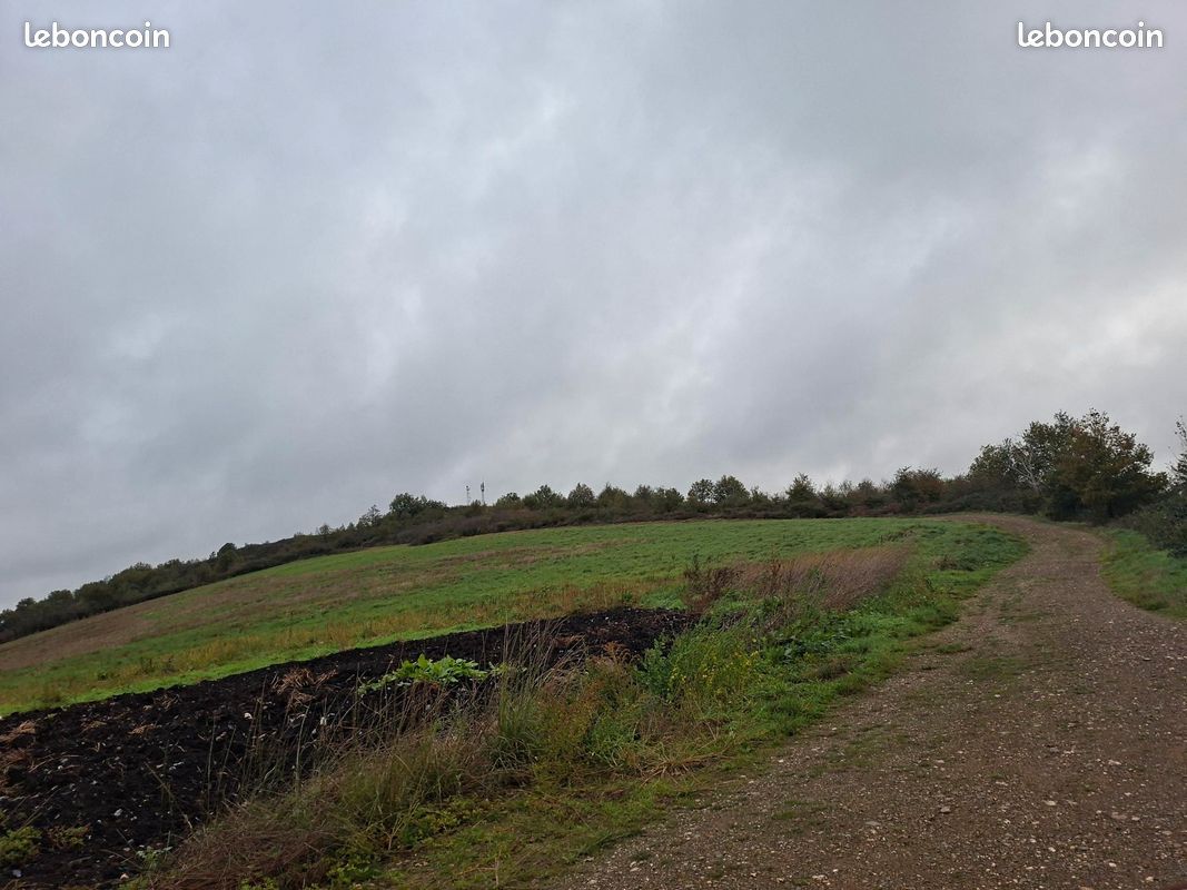Terrain agricole et de loisirs · à Ambialet · 24 000 €