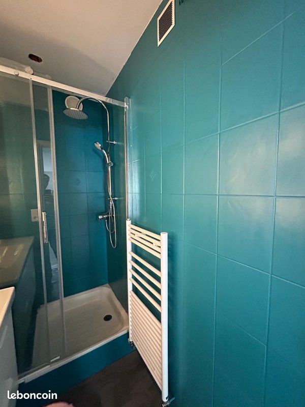 Grand T3 dans chalet individuel avec jardin St Lary (image 12)