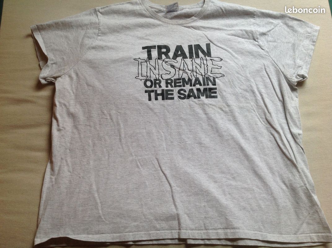 Tee-shirt Train insane or remain the same Envoi Possible (image 1)