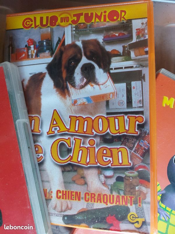 Lot de 5 DVD enfant (image 5)