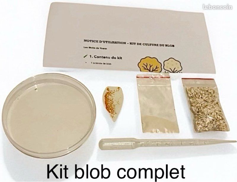 Kit de culture du blob complet et prêt à l’emploi (image 1)