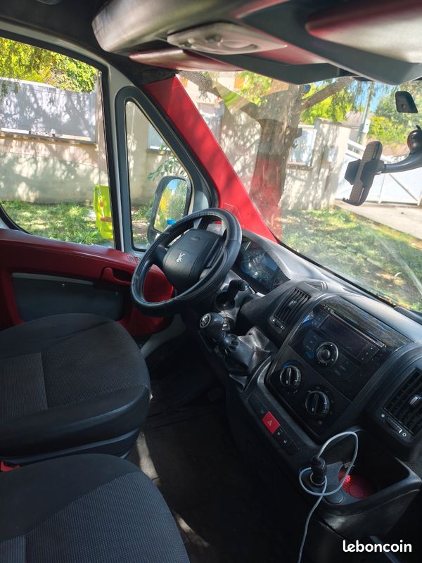 Boxer (image 6)