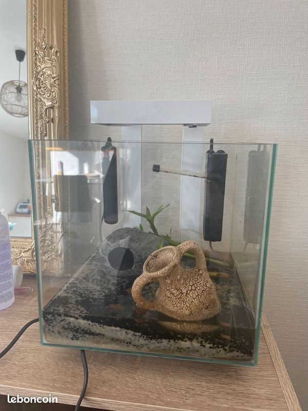 Aquarium (image 3)